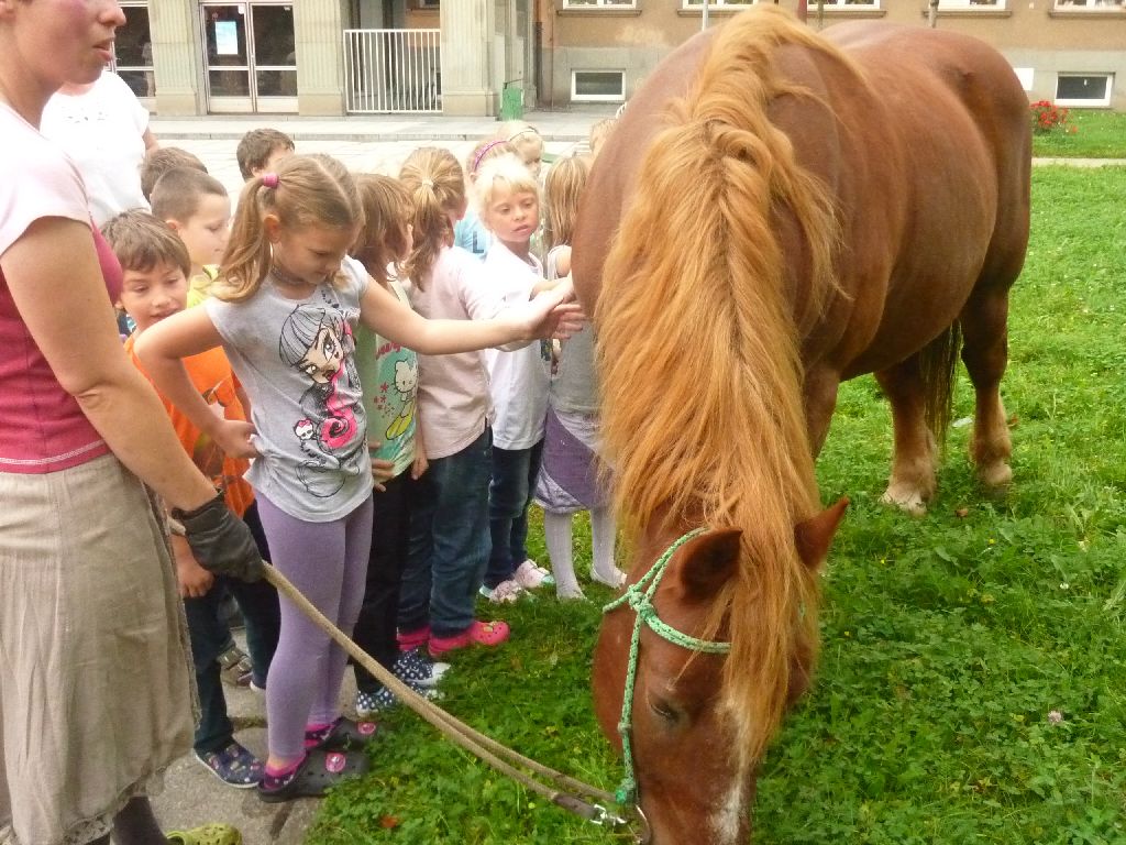 SOS – život pro koně (návštěva koníka Beníka)