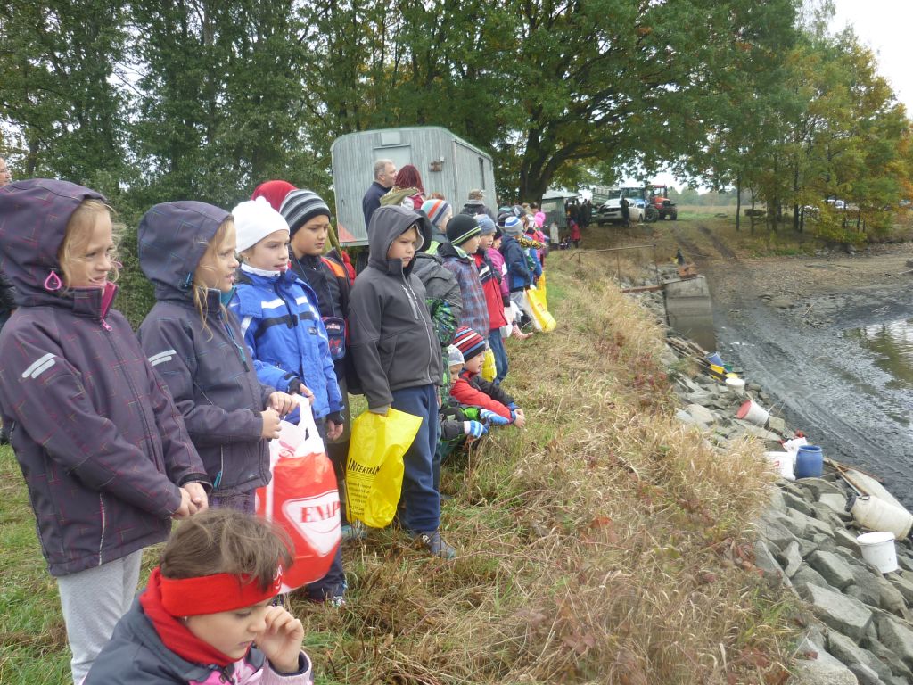 Výlov rybníka (III.A, III.B)