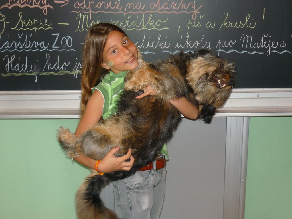 Zvířátka ve škole