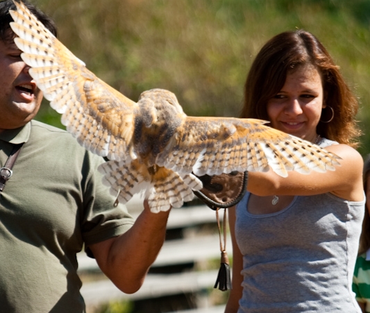 Přírodovědný den