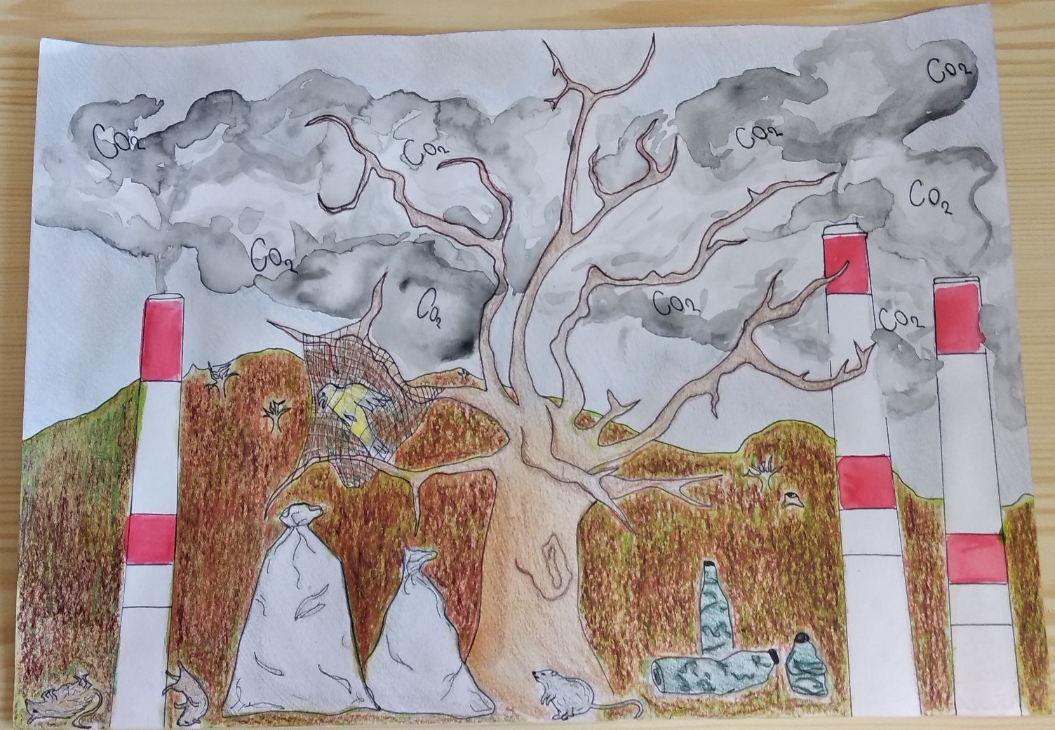 Výtvarná soutěž: :,, Evropa, ve které chci žít. Evropa 2050. 