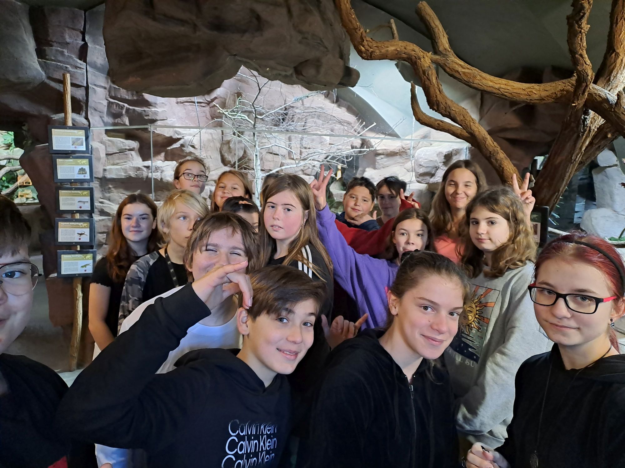 Výukový program „Plazi“ v Akva Tera Plzeň