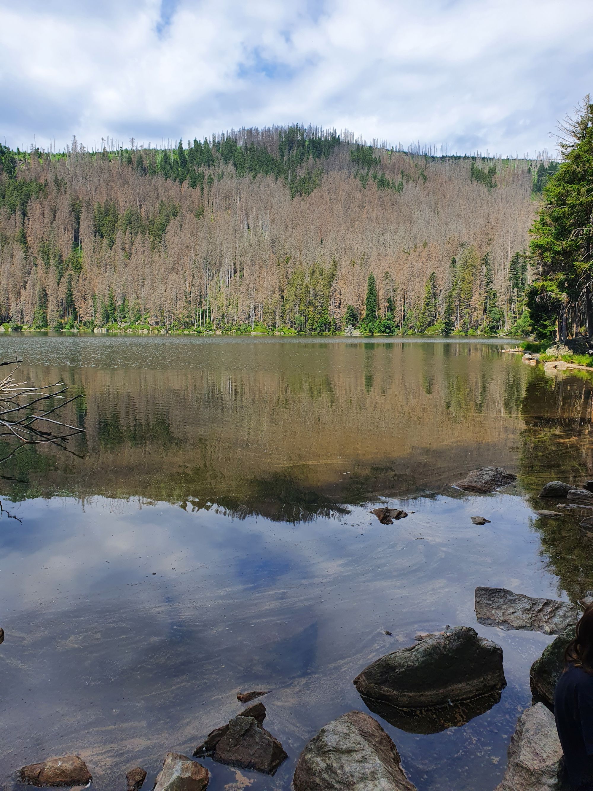 Školní výlet na Šumavu