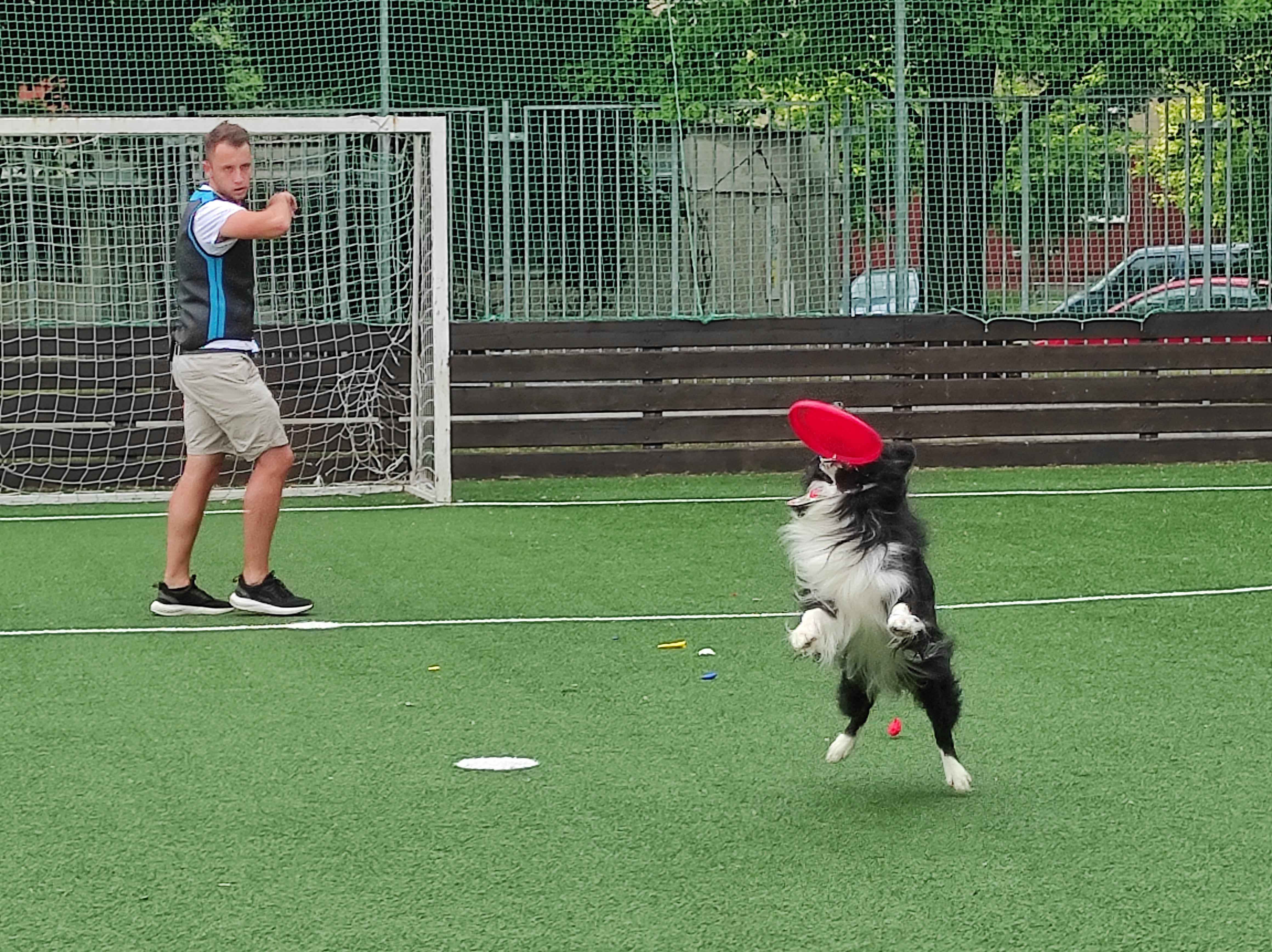 Kouzelnické vystoupení s pejskem