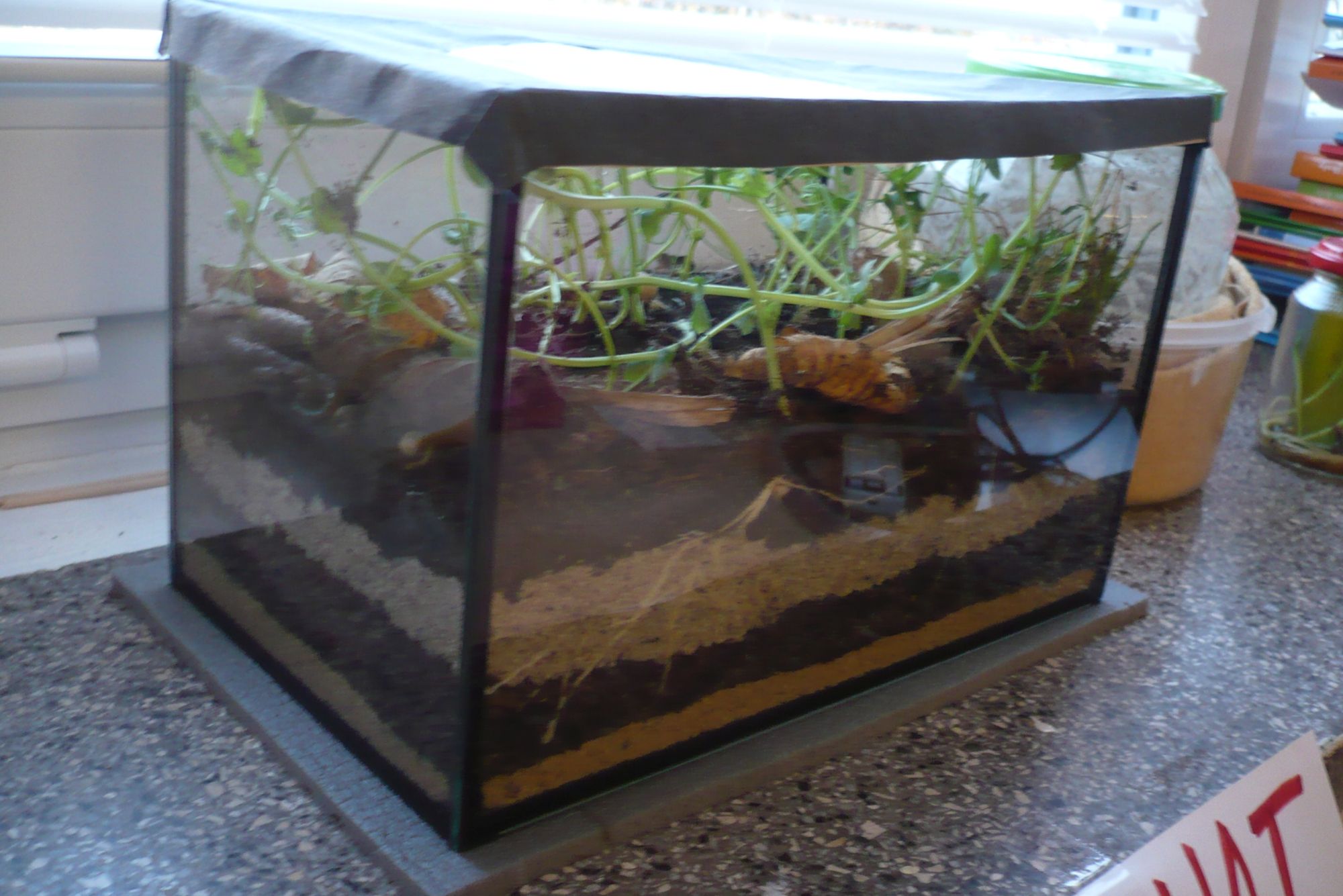 Přírodovědná pozorování 