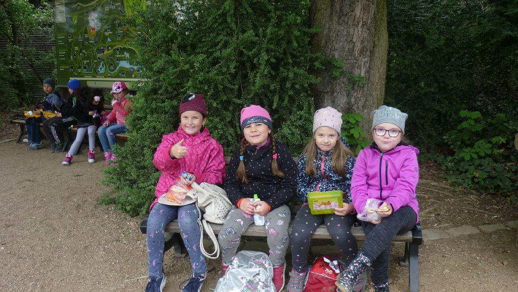 Zvířátka v pohádkách