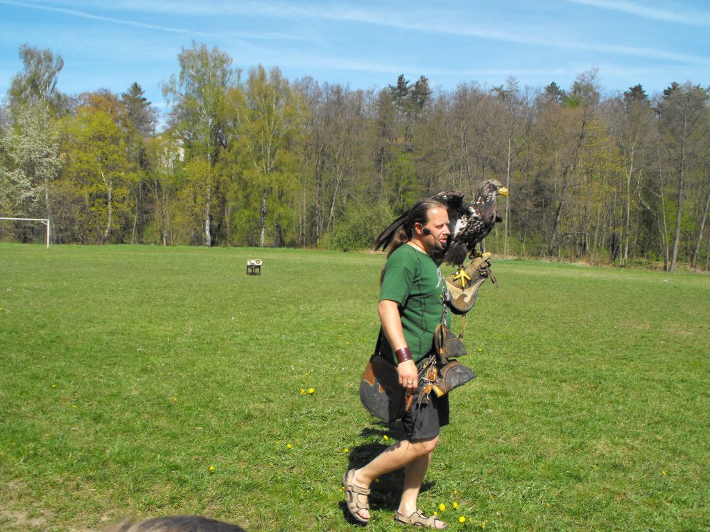 Orli - supi - kondoři