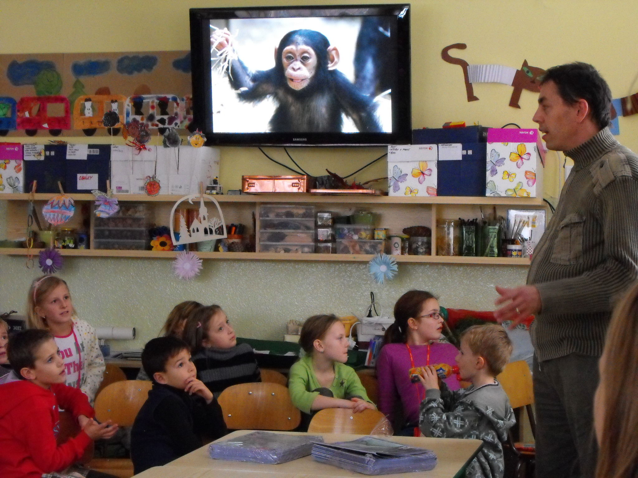 Za zvířaty z celého světa