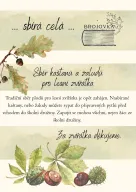 Sběr kaštanů a žaludů