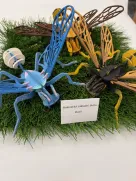 Meziškolní soutěž o nejhezčí včelu a nejchutnější štrúdl