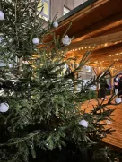 Zúčastníte se zpívání u stromečku a vánočního jarmarku?