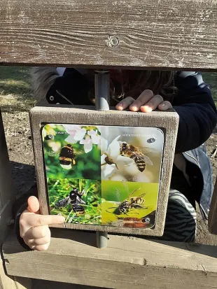 Únor/březen 4.odd. Králíčci - 3.C - naše aktivity 