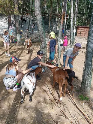 3.C výlet Farma park u Toma