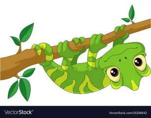 Chameleoni 25/26