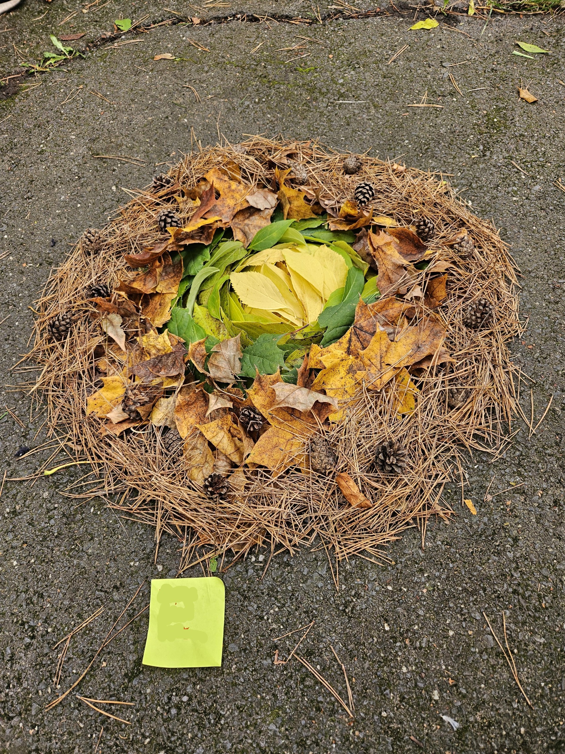 Land art 6B 2024_25
