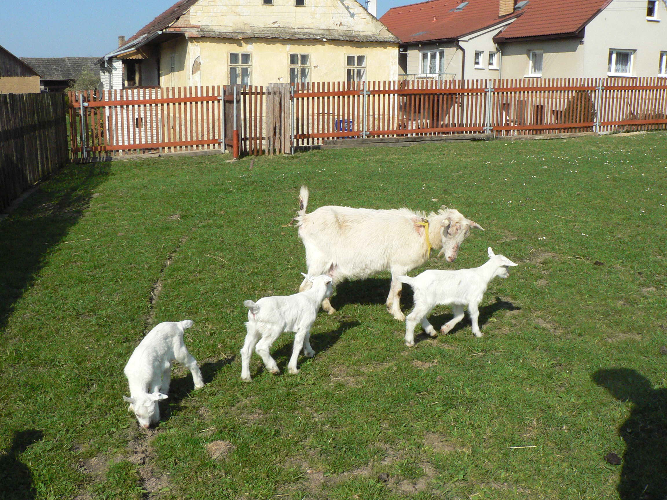 EKOLOGICKÉ DNY 18. - 20. 4. 2011 BYLY ÚSPĚŠNÉ