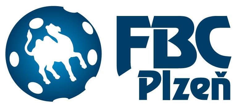 FLORBAL PRO HOLKY