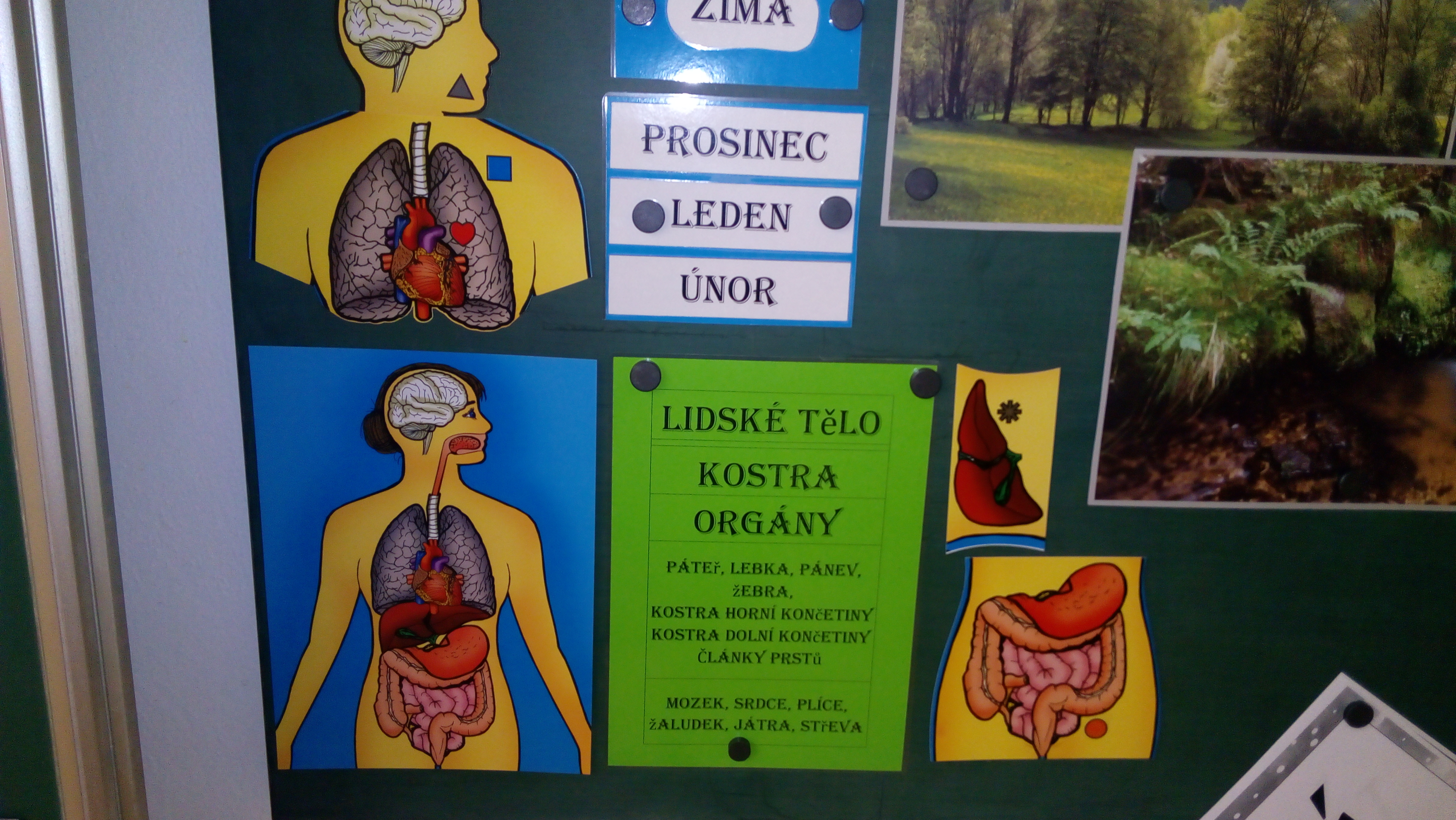 Jak se učíme