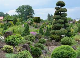 Sofronka - arboretum
