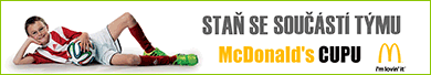 ŠKOLNÍ KOLO  MC DONALD´S CUPU