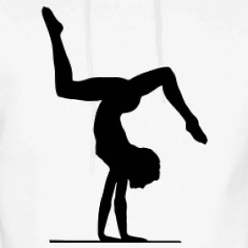 NOVÝ KROUŽEK OD II. POLOLETÍ - GYMNASTIKA 