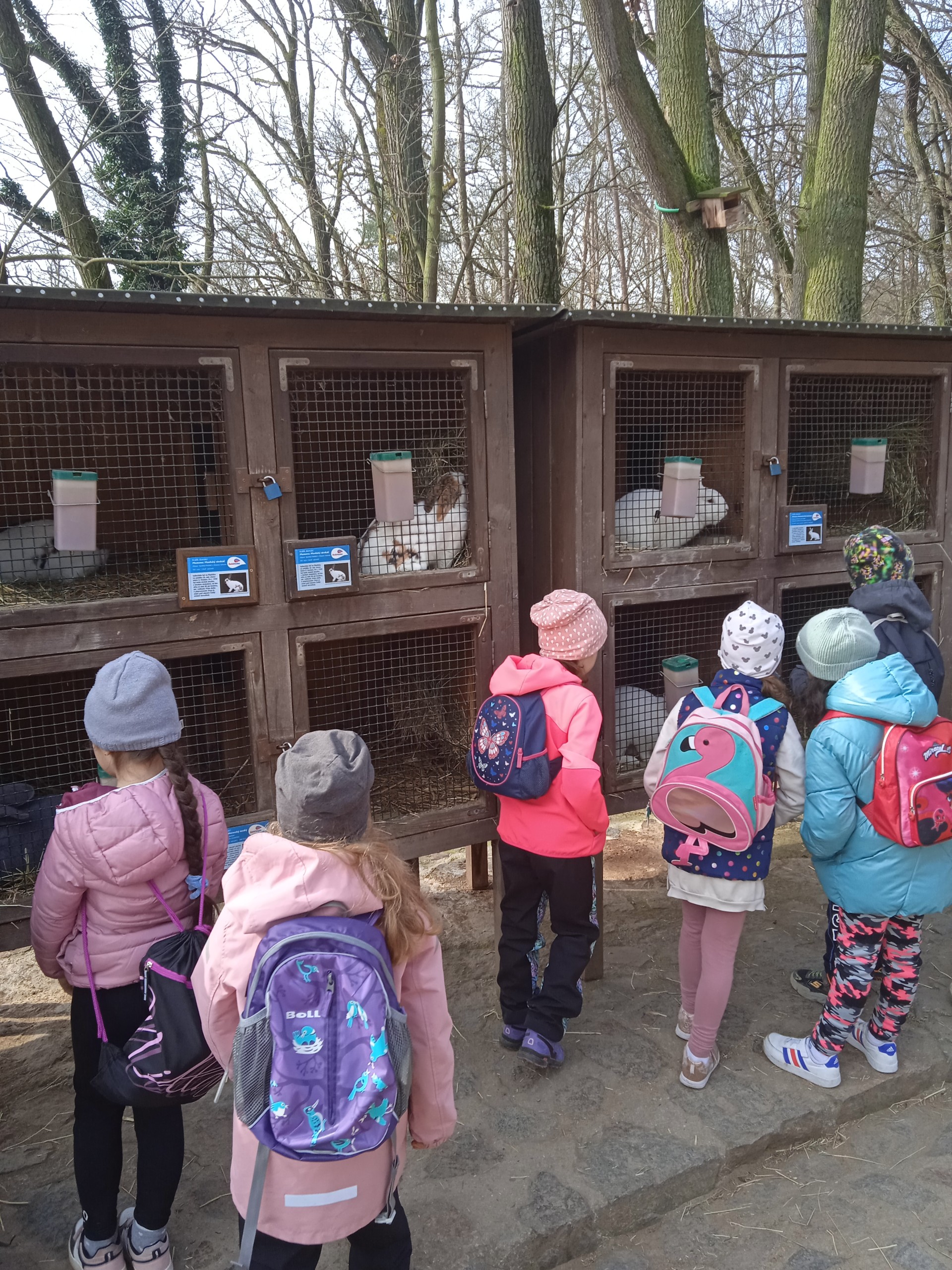 KloI - ZOO