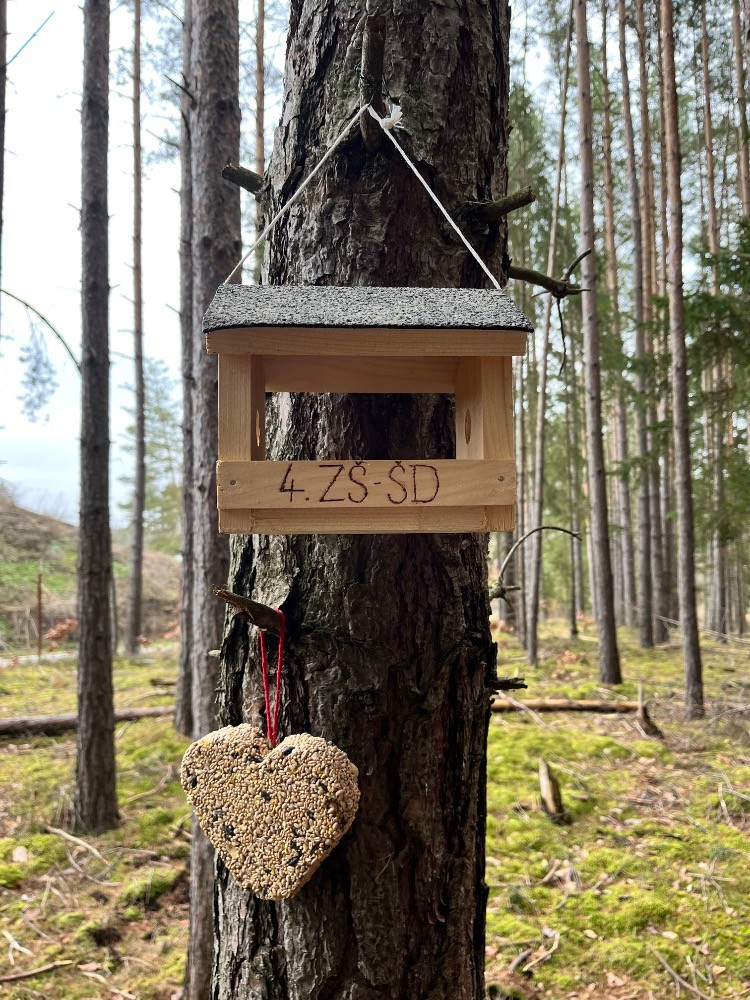 NOVÝ ROK V LESE