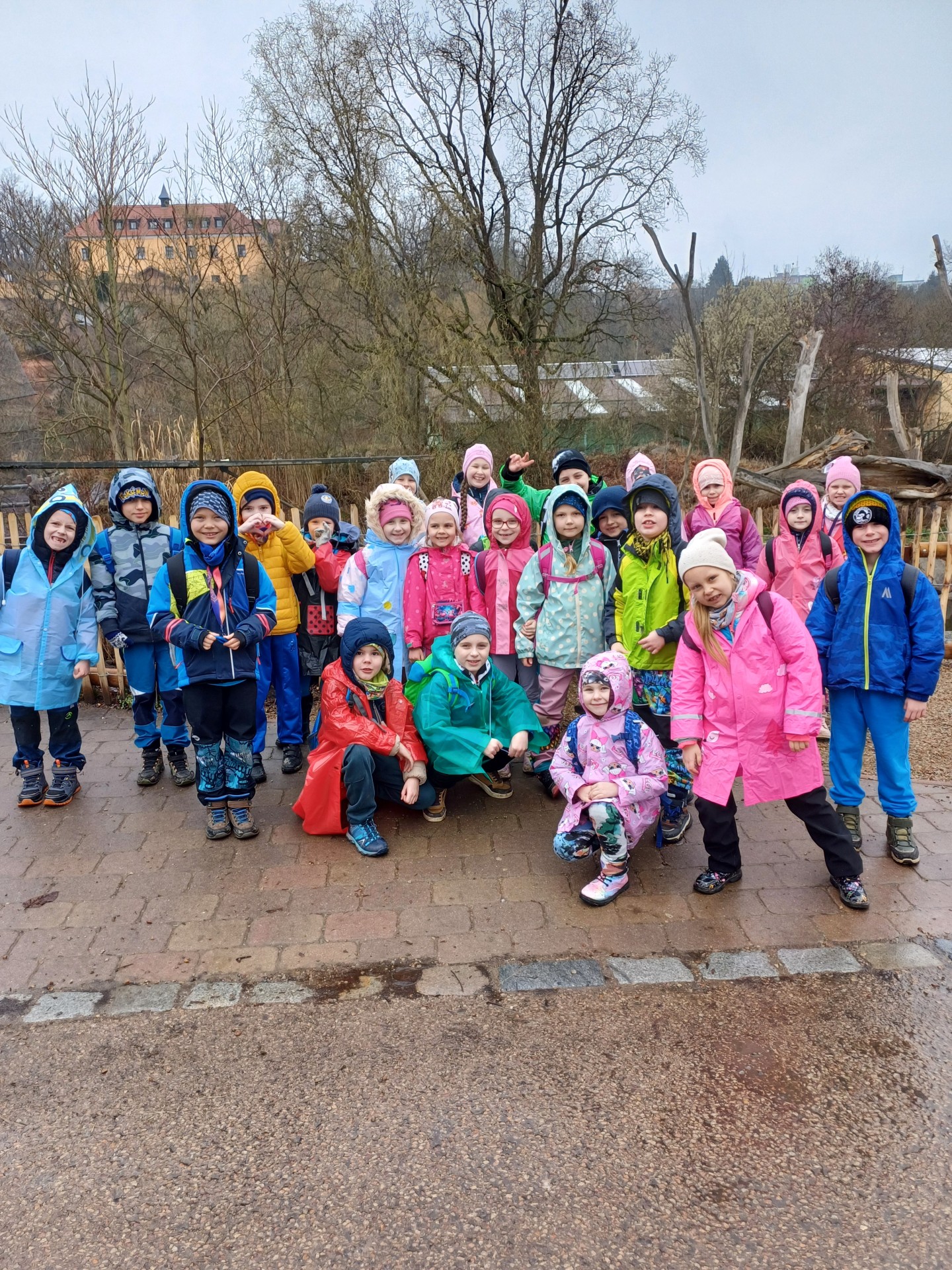 1. C ZOO