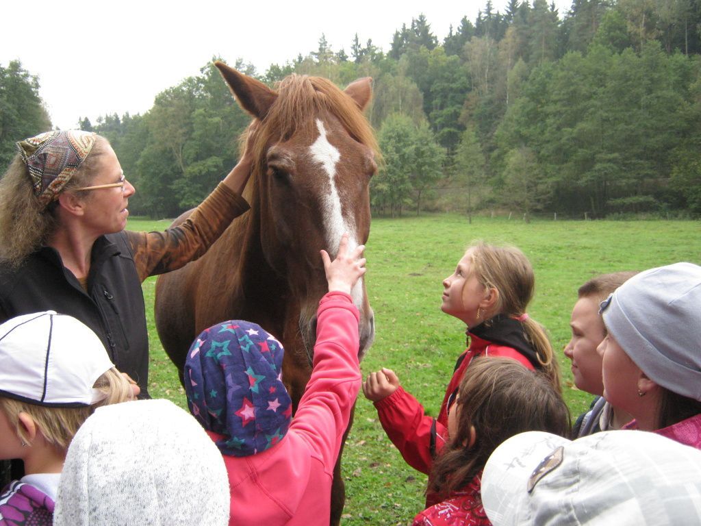 Farma Kozodoj - velká zvířata