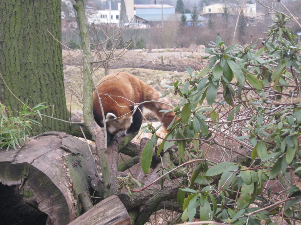 ZOO - Naše příroda