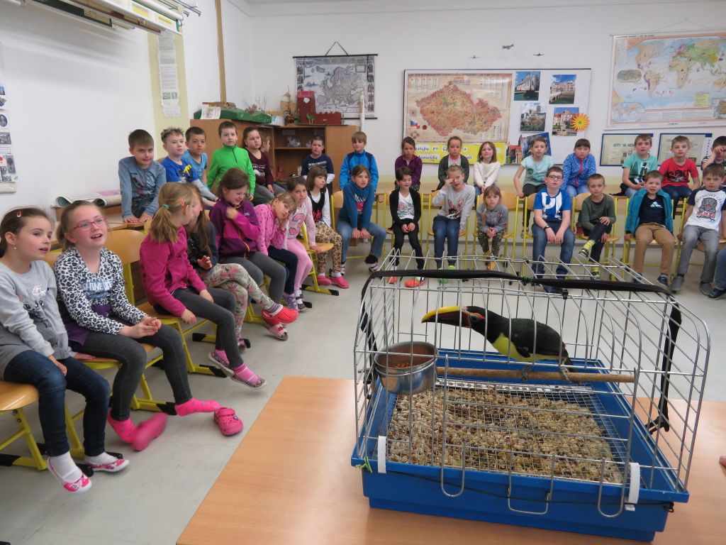 Šplhavci v naší škole 2