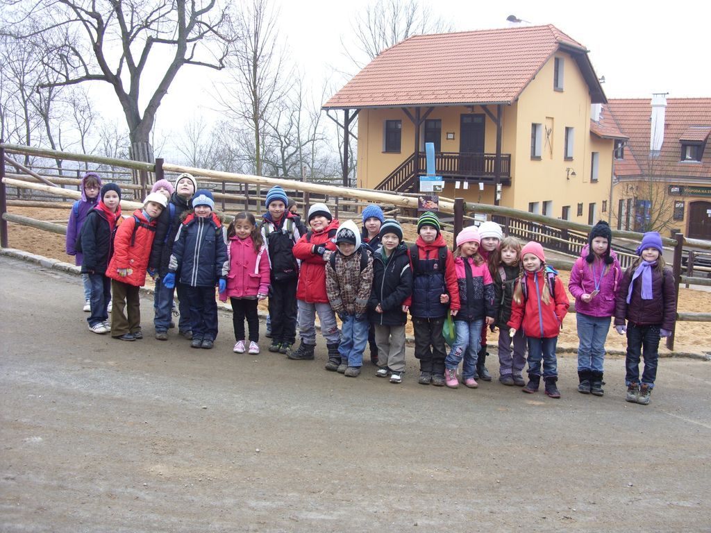 1.B V ZOO