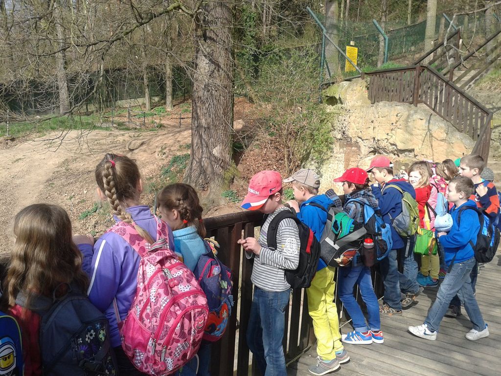 2. B V ZOO