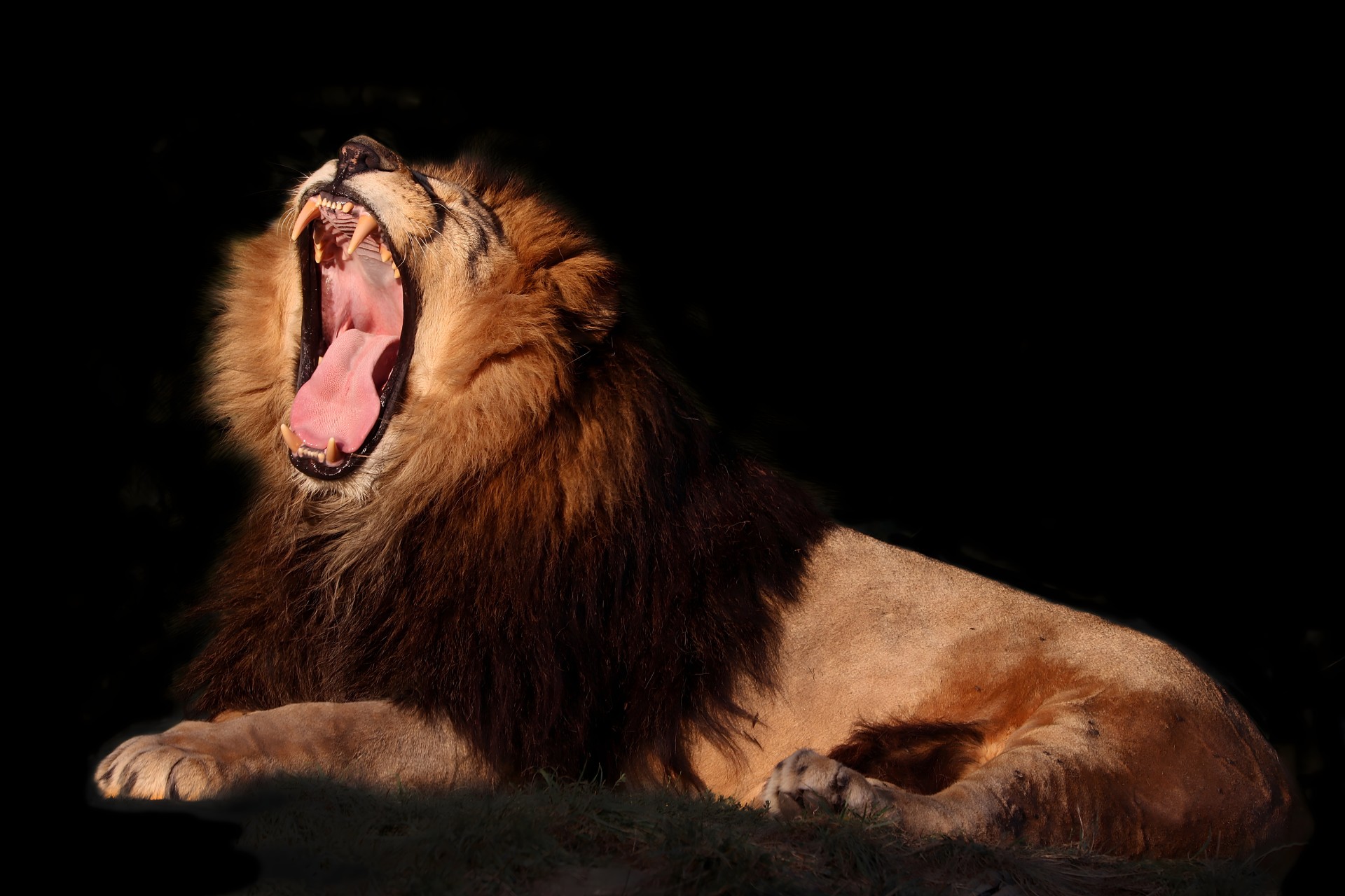 Slavíme 100 let Zoo Plzeň