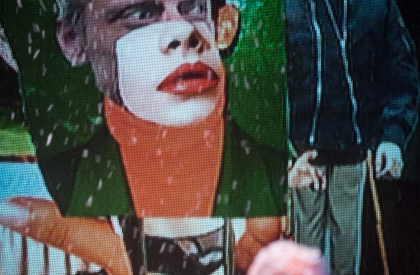  © Kurt Van der Elst