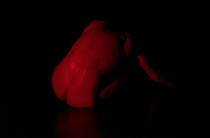  &copy; Kurt Van der Elst