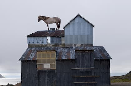 Anastasia Savinova. Genius Loci / Sideways Encounters, somewhere in IS, a constant need to see the Ocean.