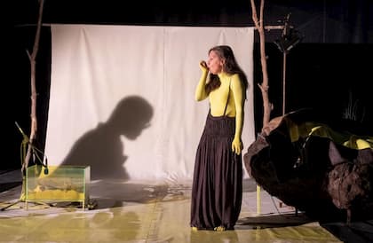  © Kurt Van der Elst