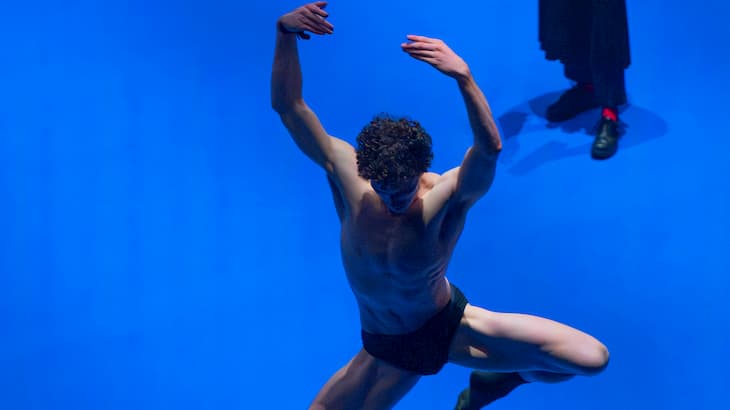 Chapters of Celebration