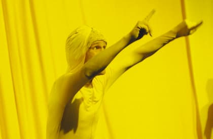  &copy; Femke Appeltans