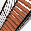Detail shot trap merantitrede 2