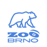 Zoo Brno - Medvěd kamčatský