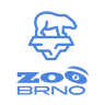 Zoo Brno - Medvěd lední