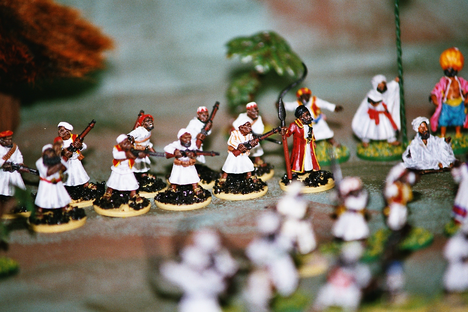 Darkest Africa Zanzibari