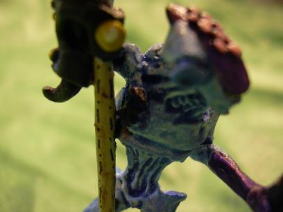 Palansi Leader Closeup