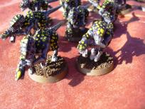 Camera LCD sucks in bright sunlight. Should have taken these pictures indoors anyway.