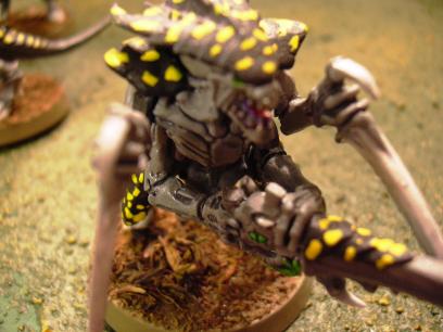  Tyranid Warriors
