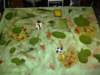 Brought to you by VultureCam(tm).