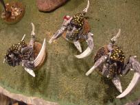 Here's the three raveners from above.