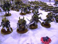 Tyranid warriors form a solid elite core. This is the assault brood.